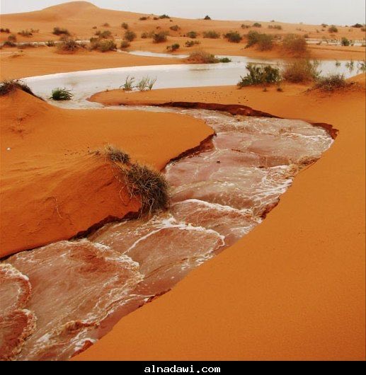 hazaa_Alghamisi's tweet photo. -
فالقـصايد لا تحط ولا تشيل
       القصيد الجزل يعرف منّبعه

فايض الماء ما يغـطّيه النثيل
      والضحاح يكذّب اللي يتبـعه

              #هزاع_الغميسي https://t.co/3FX1Alhdk1