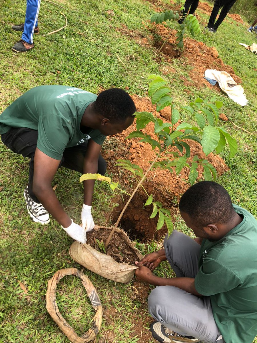 Roots&Shoots Rwanda tweet media
