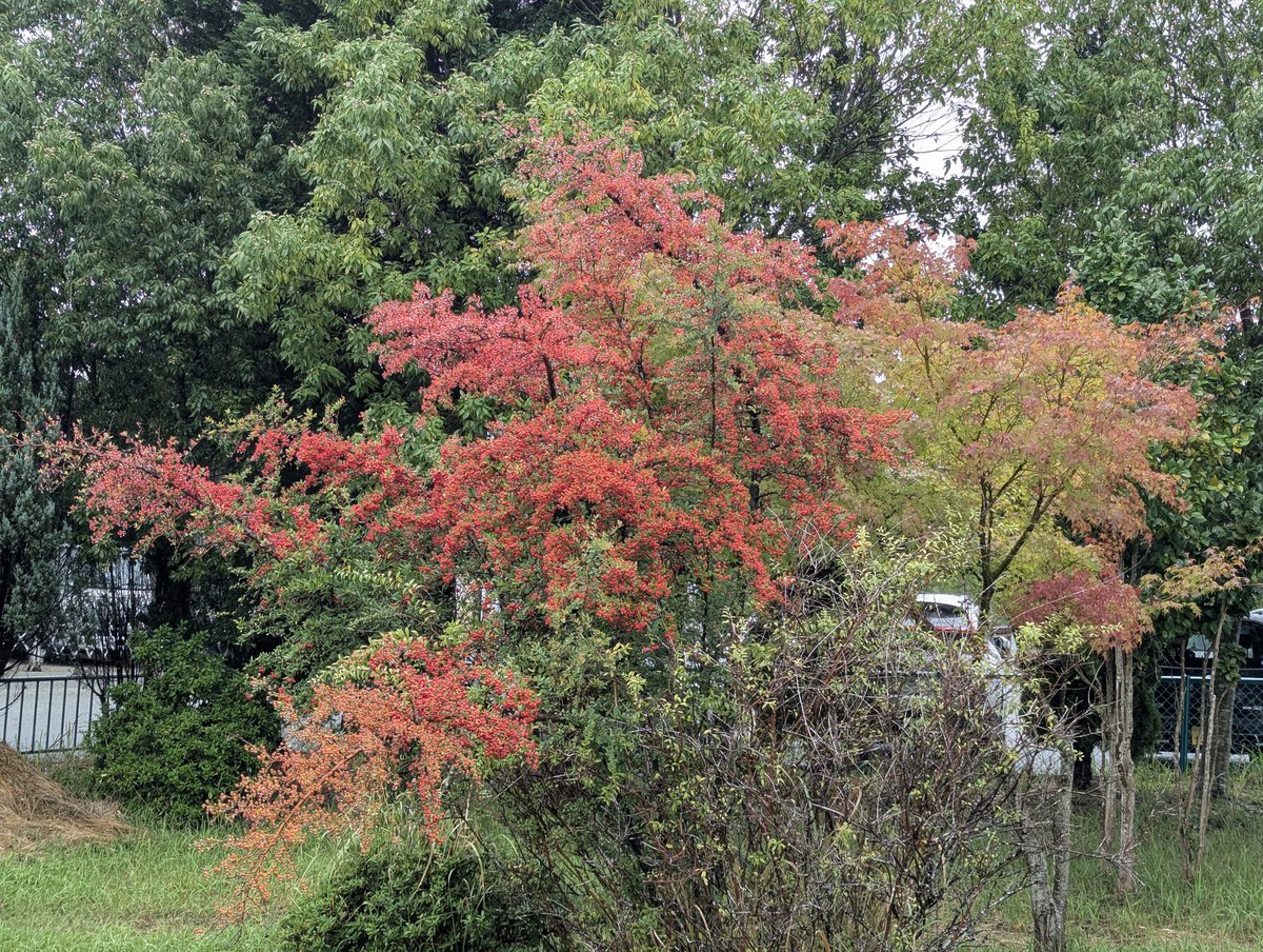 JIG男(ジグオ)☆敗北しか知らない on X