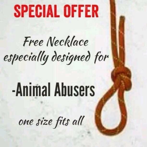 <a href="/domdyer70/">dominic dyer</a>