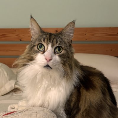 #NewProfilePic (新個人資料照片)