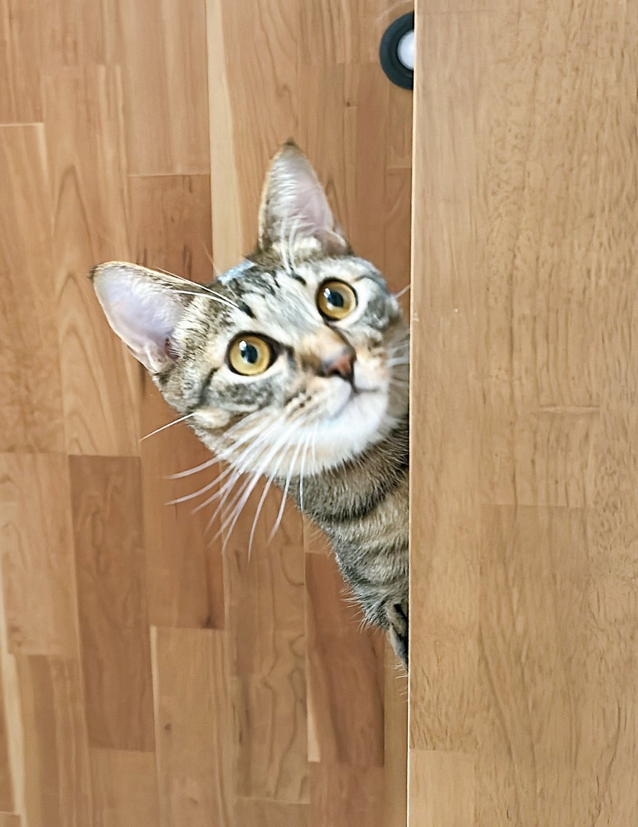 まりもちゃん！と🧌 (@marimo2021915) / Posts / X