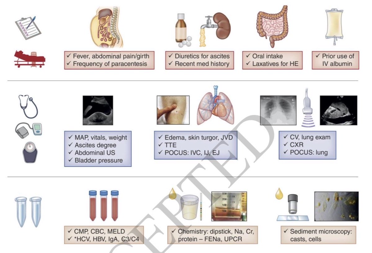 Jonathan Chávez (@jonathannefro) on Twitter photo Bioquímica serica y urinaria que orienta al diagnóstico de Síndrome Heptorrenal:
•FeNa <0.45% certeza 75%
•FeNA >1.0% y sodio urinario spot >20 mEq/L puede descartarlo
•sedimento urinario blando
•Hiponatremia
JASN 2025
10.1681/ASN.0000000920 Bioquímica serica y urinaria que orienta al diagnóstico de Síndrome Heptorrenal:
•FeNa <0.45% certeza 75%
•FeNA >1.0% y sodio urinario spot >20 mEq/L puede descartarlo
•sedimento urinario blando
•Hiponatremia
JASN 2025
10.1681/ASN.0000000920