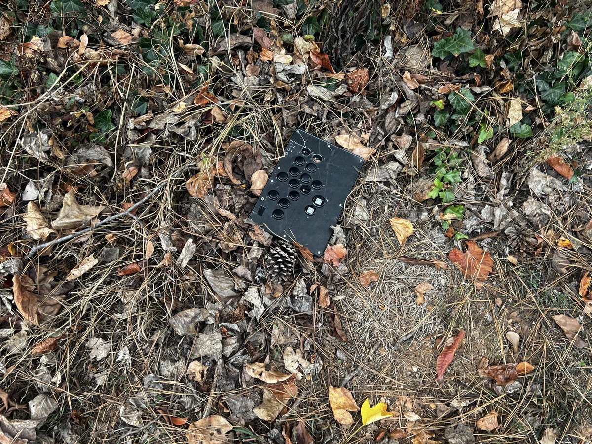 Pepto_Griswold's tweet image. ♫ somebody’s getting FUUUUCKEDDD♫