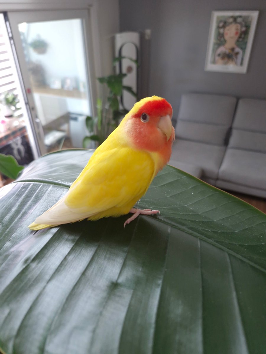 Minky_kun's tweet photo. https://t.co/t5HEZ9Qol7