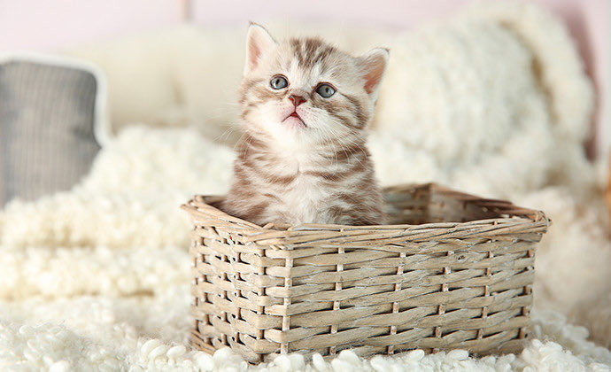 ささきページ 佐々木 on X