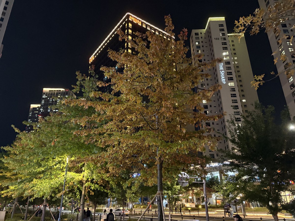 韓国行った時の景色の写真 ケン｜韓国在住ライター＆Kindle著者 on X