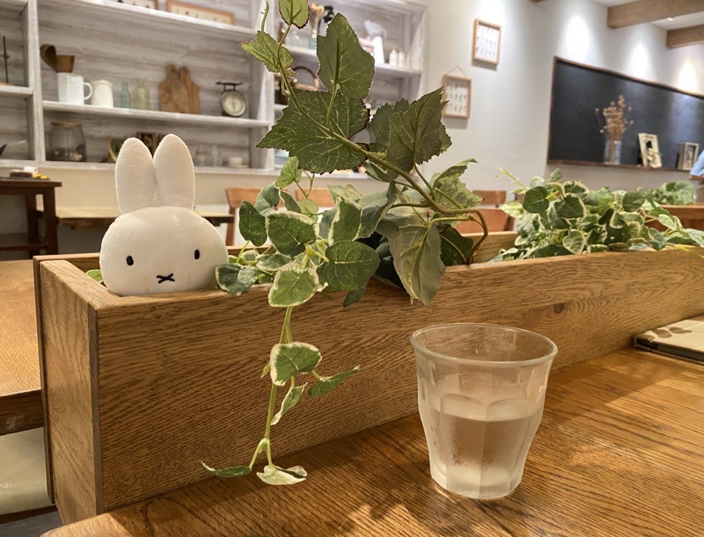 miffy✩.*˚ Miffy Classic 20