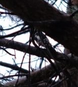 akiページ aki aki (@akiaki66697465) / Posts / X