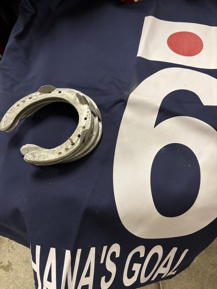 kato_kazuhiro_'s tweet image. 最近プレゼント企画してなかったから久々に

来月厩舎引っ越しするため倉庫から出てきたものですがプレゼントします🥹

ハナズゴール
香港競走の実使用調教ゼッケンとそのときの蹄鉄です
希望あればゼッケンに加藤和宏のサインします

フォロワーの中からコメントくれた人の中から選びます…