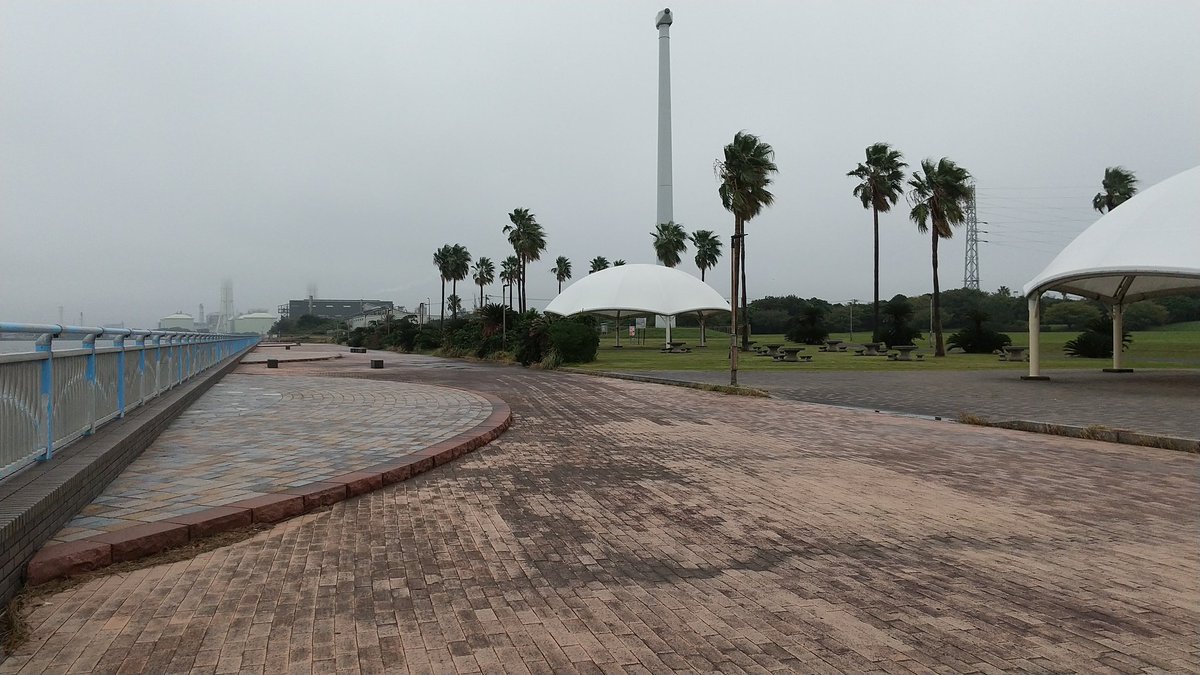 うさぎさん🐰 on X