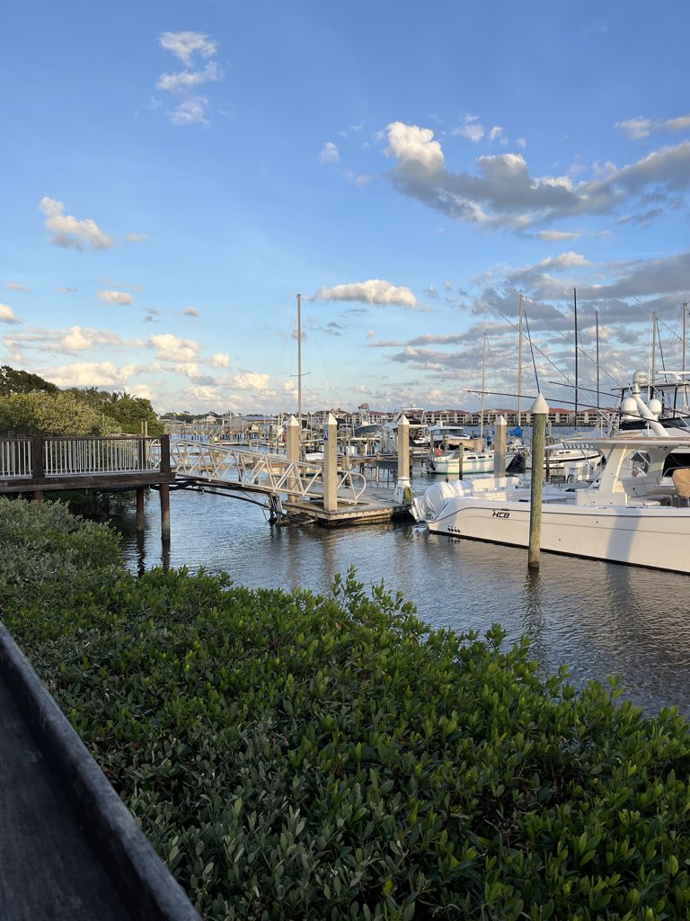 Saturday night is just alright. 🌴