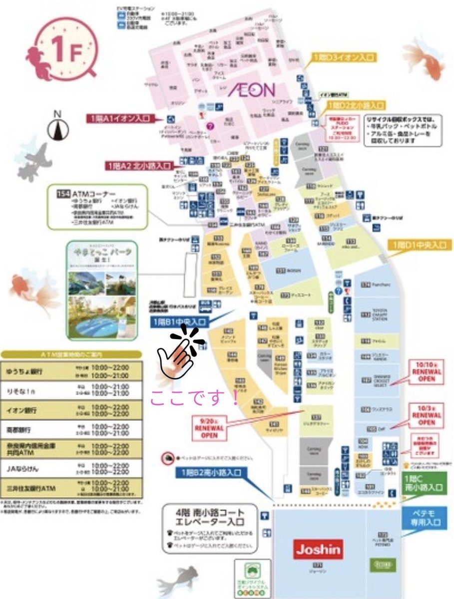 TwinkleTroupe's tweet image. 【本日📢】

KAGAYAKI Fes mini
@イオンモール大和郡山

🗓2025年10月26日(日)
💫イオンモール大和郡山 B1中央入口
⏱①12:00~/ ②15:00〜
🎟観覧無料

📸カメラ撮影パス：1,000円　
※スマホでの撮影は無料

👨‍👩‍👦芹沢愛桜、花咲花奈、来栖璃音

※夢見のみゆは、家庭の事情により…