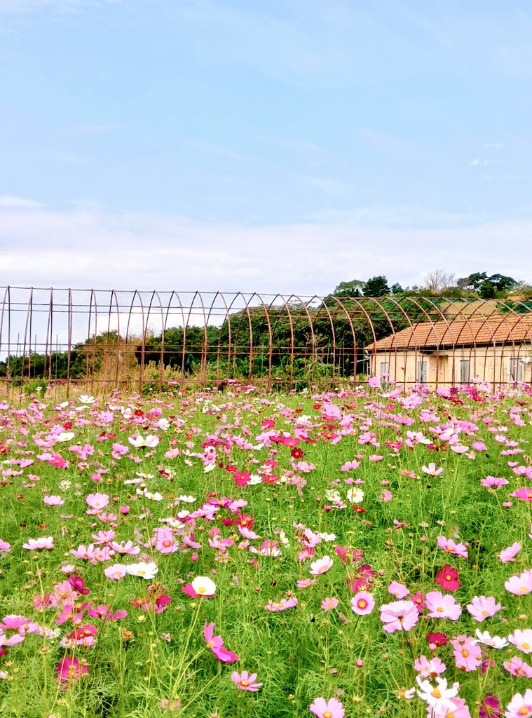 てん様❣️専用ページ❣️ みやちん on X