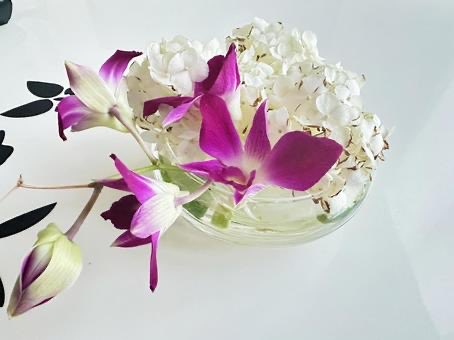 はな✳︎ 糸奇はな🦷📛ItokiHana on X