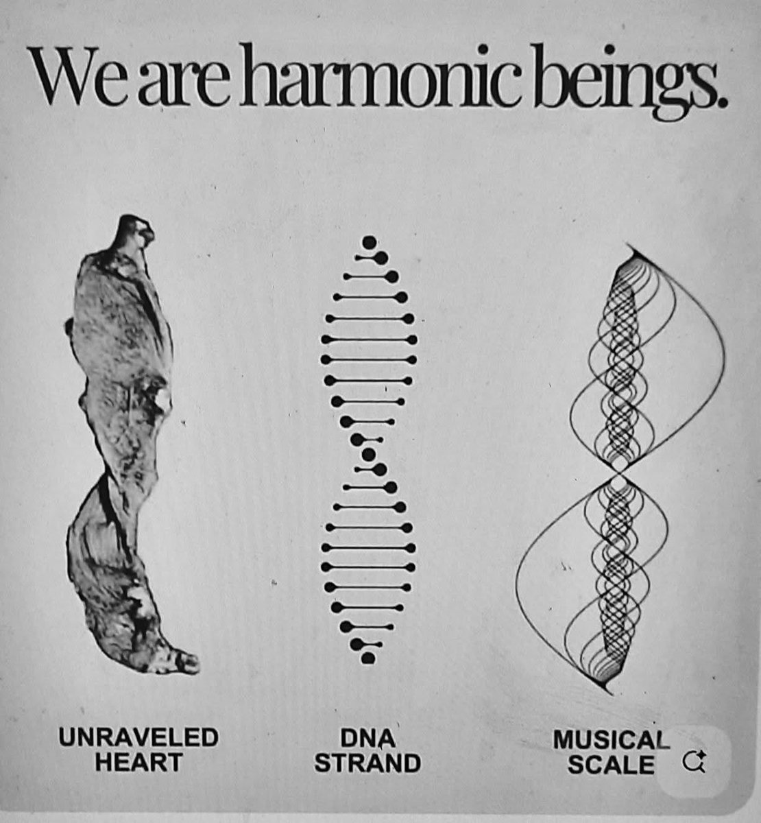 🧬Maxpein🧬 (@maximumpain333) on Twitter photo 