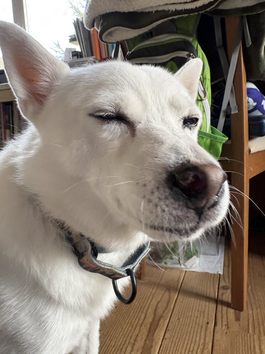 おはよう(ﾌｯ)