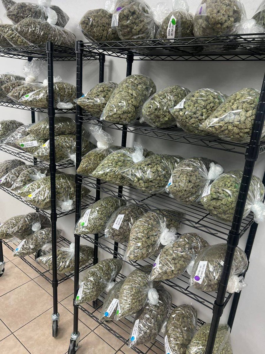 Weekend promotion is here. 
Pound bag cost just $600
Ounce cost just $200
Send us a message here on X and ask for a menu or WhatsApp us through this number 👇   +1 (343) 321-0195