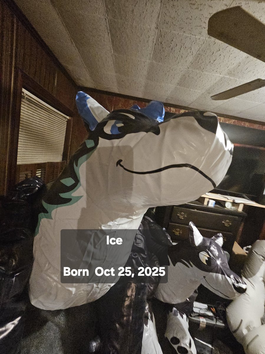 Donutseads's tweet image. Say Hi to our new family members, Ice and Echo