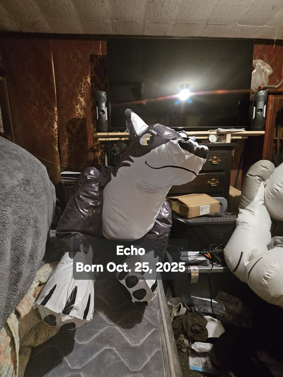 Donutseads's tweet image. Say Hi to our new family members, Ice and Echo