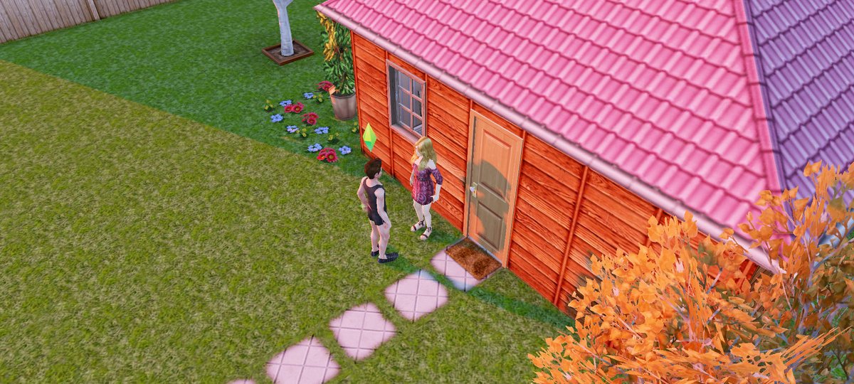 simmerdan tweet media