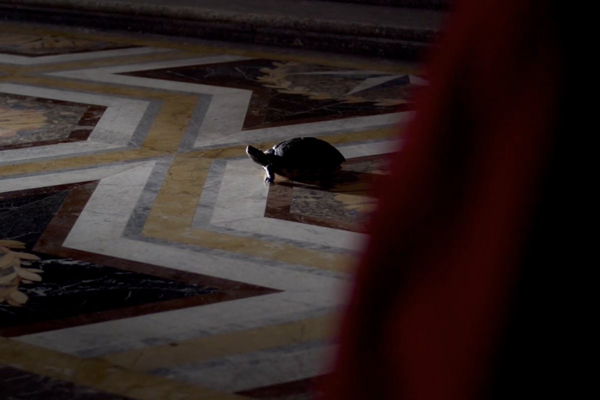 Focus Features tweet media