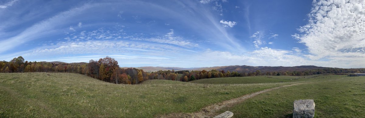 Bill Hartley tweet media