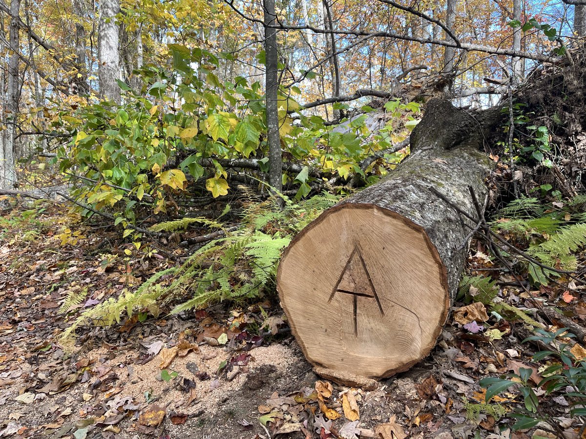 Bill Hartley tweet media