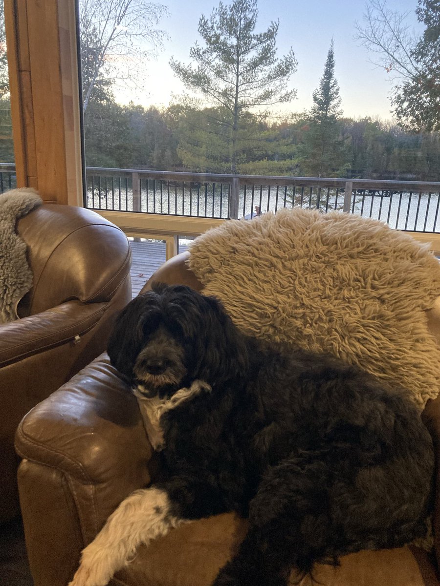 Are you “compfy” yet?