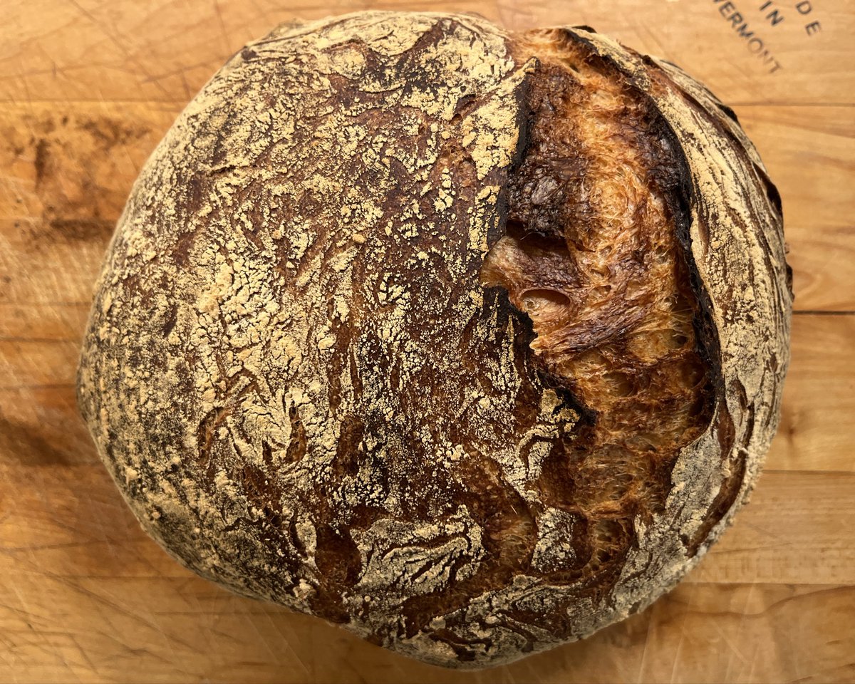 photonopticum's tweet image. Herbst in Neu England: Blauer Himmel Sonnenschein, Shorts &amp;amp; Sweater, Gartenarbeit, Rotwein, frisches Brot. 🥰