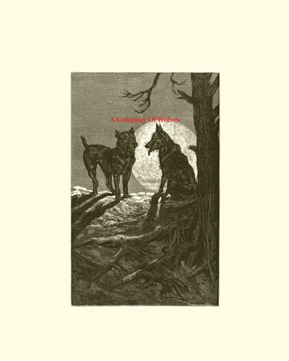 ofWLVS's tweet photo. The Wolf &amp; The Mastiff

#ofwlvs #illustration #art #wolf #antianti #design https://t.co/lDQkMEN9Aj