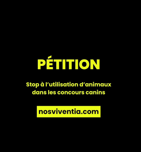 ChasseAbolition's tweet photo. Ce week-end des oiseaux sont massacrés pour un concours canin
➡️ Stoppons le concours du RCF de #Couvains/#VilliersFossard
https://t.co/vx6Ui10L6Q
#CUNCA https://t.co/8C3GGOgGk7