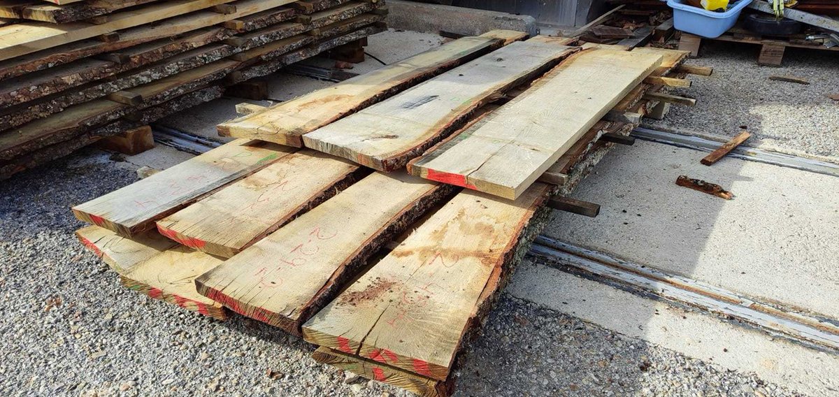 Naturaleza Castilla y León tweet media