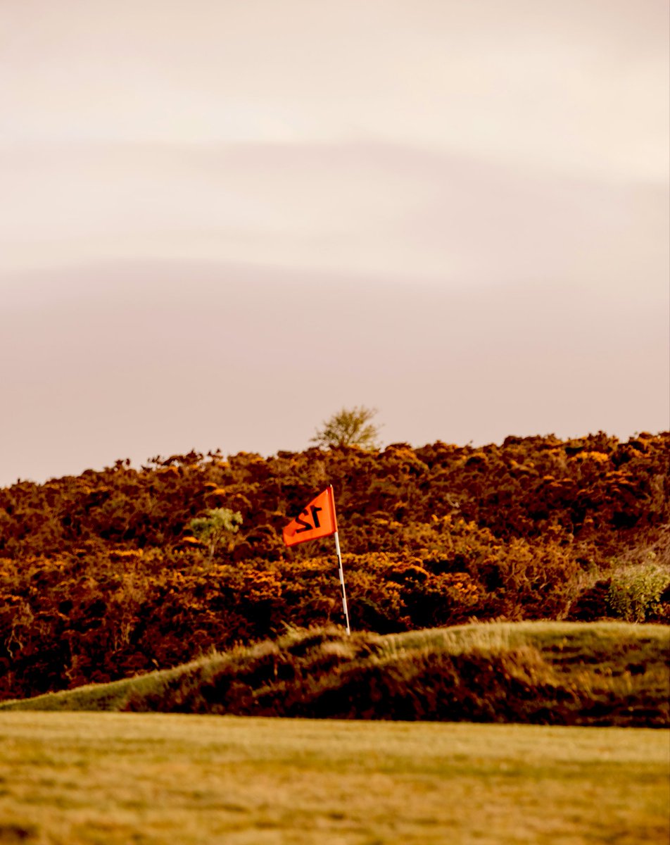 Shiskine Golf and Tennis Club, Isle of Arran,
Scotland 🏴󠁧󠁢󠁳󠁣󠁴󠁿 - #golf #scotland #golfscotland