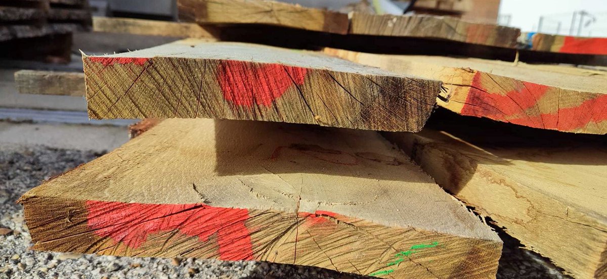 Naturaleza Castilla y León tweet media