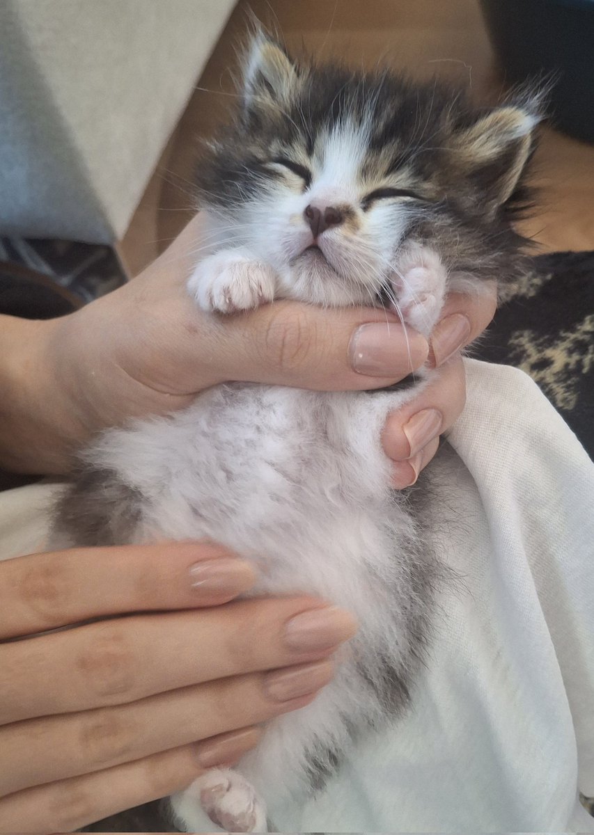 beş saattir bu salak osursun diye cabaliyorum 🙏🏻😰👇🏻👇🏻
🧿😭