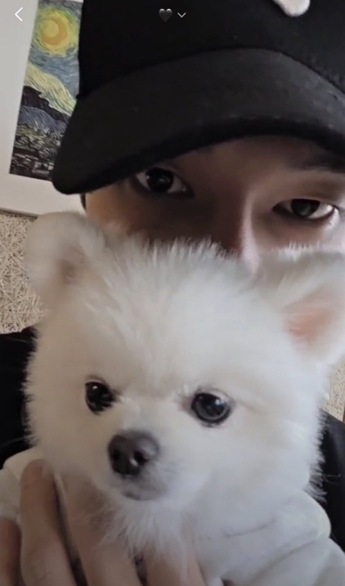 ๐ . ๐ Bellamy ๏ธถ โข ๐ tweet media