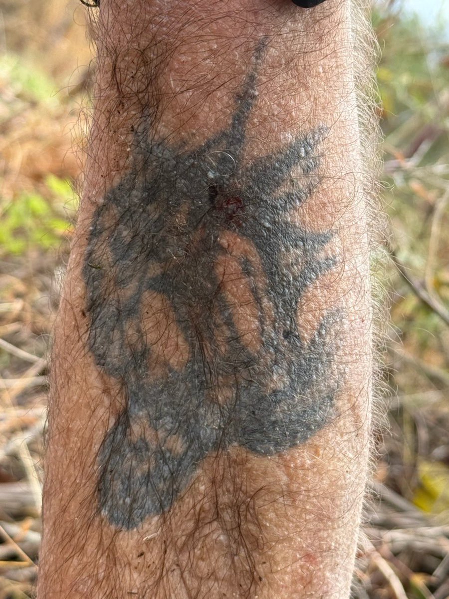 State Police Kiski Station is investing a crime where a person involved has the below pictured Tattoos.  Anyone with information to help ID the individual please call Kiski Station 724-697-5780.