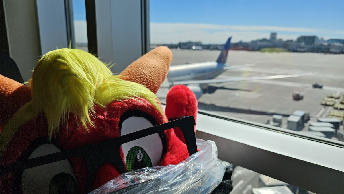 Round 25 of "where's Ronnie noodling off to today?" 🐉✈️