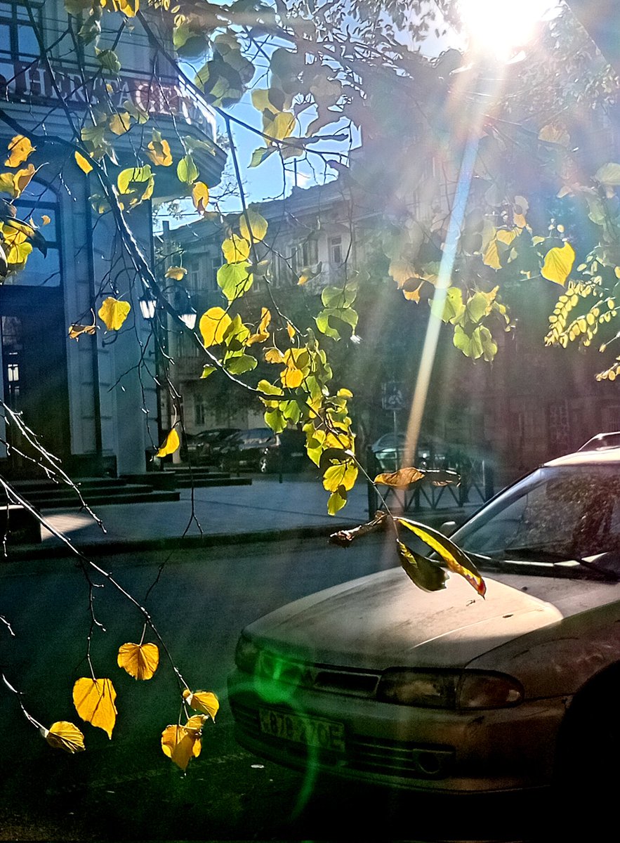 Катерина Галич tweet media