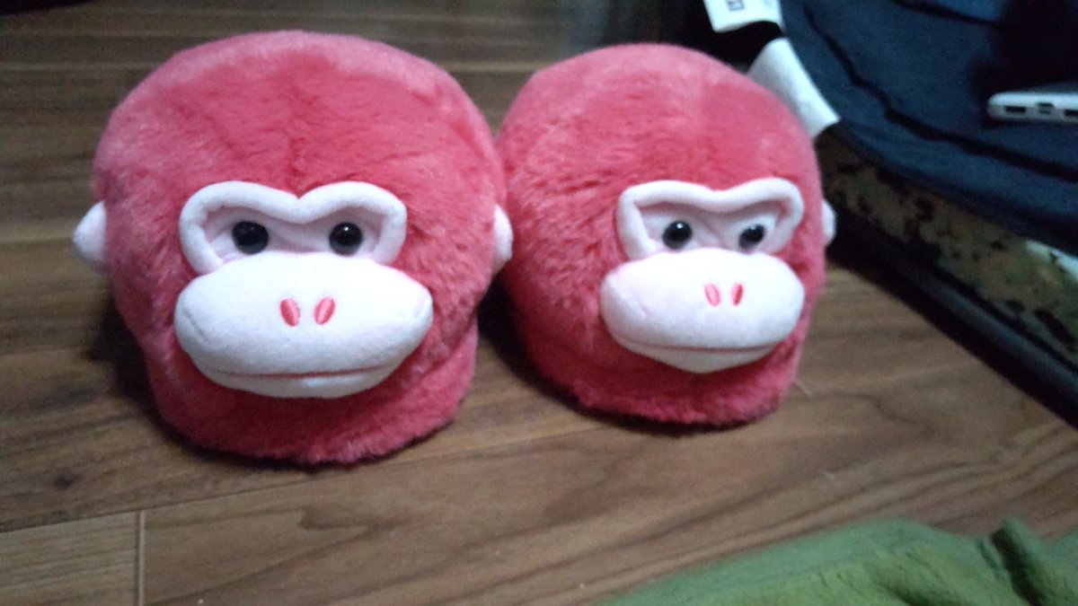 すーくん専用 さーくんさん専用 どうくん様 やっ君さま 専用 専用 Motokun様 ZX