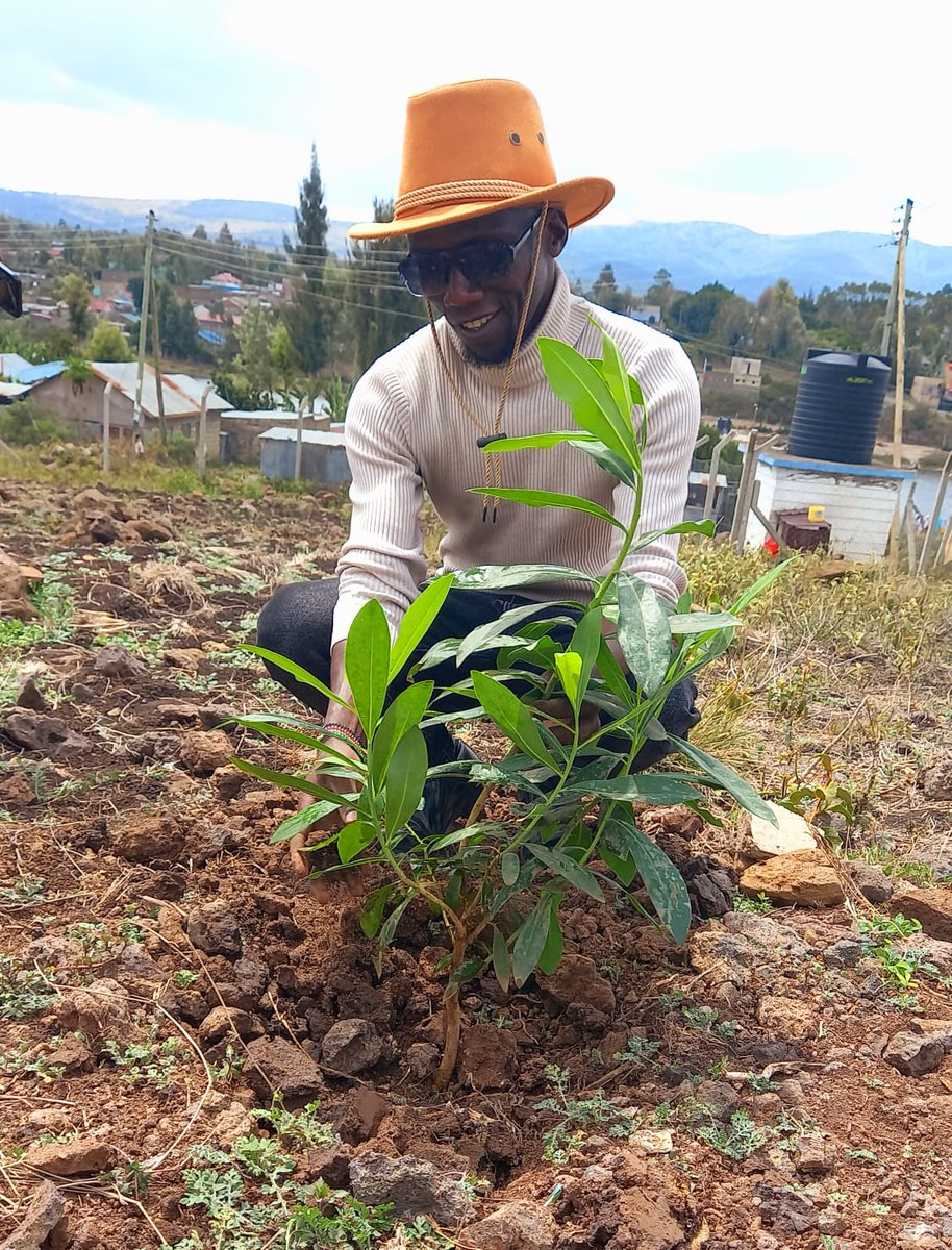 Acaciafoundati1's tweet photo. The Acacia Foundation CBO   is proud to announce the successful planting of over 100 trees at Kiserian Health Centre and Naru-Moru Secondary School in Kajiado West Constituency. #Kiserian
#TreesforKiserianDam https://t.co/9P1YqC2bnU