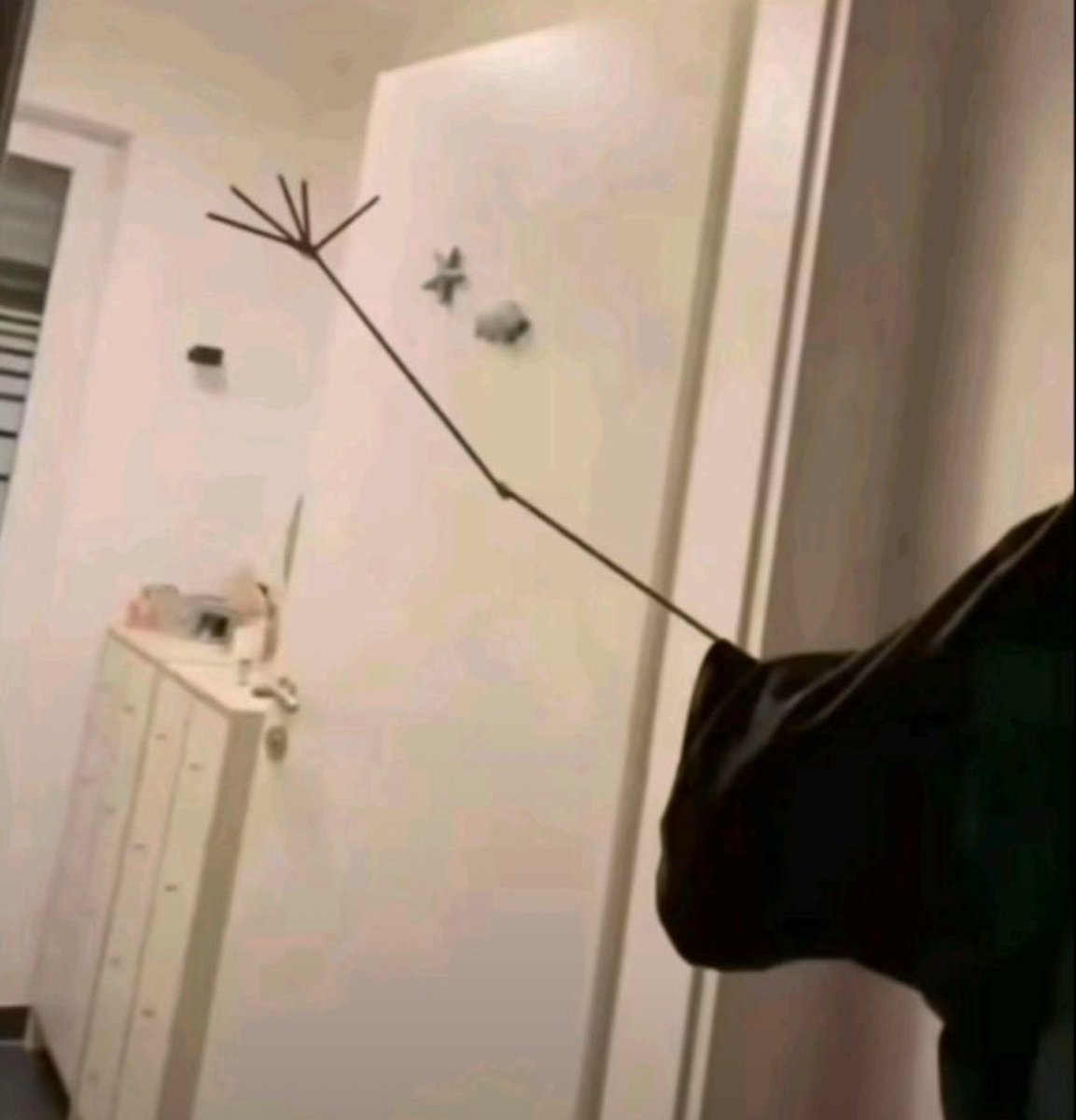 (spider)spookie! 🕷️ tweet media