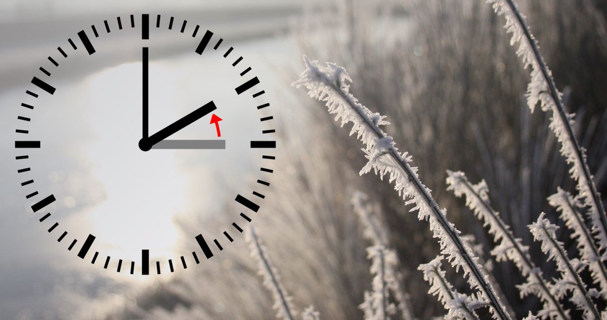 RFBotenga's tweet image. Vannacht weer uurtje terug naar wintertijd ❄️