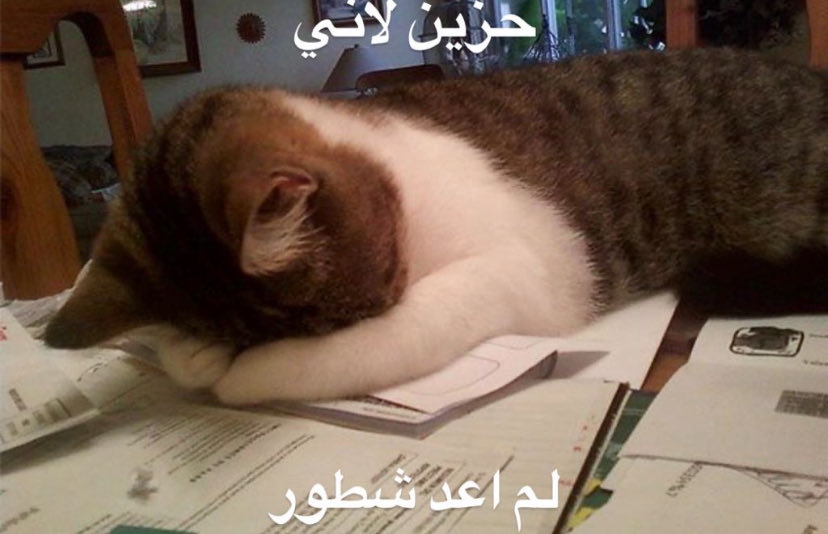 🔝 (@9iicll) on Twitter photo 