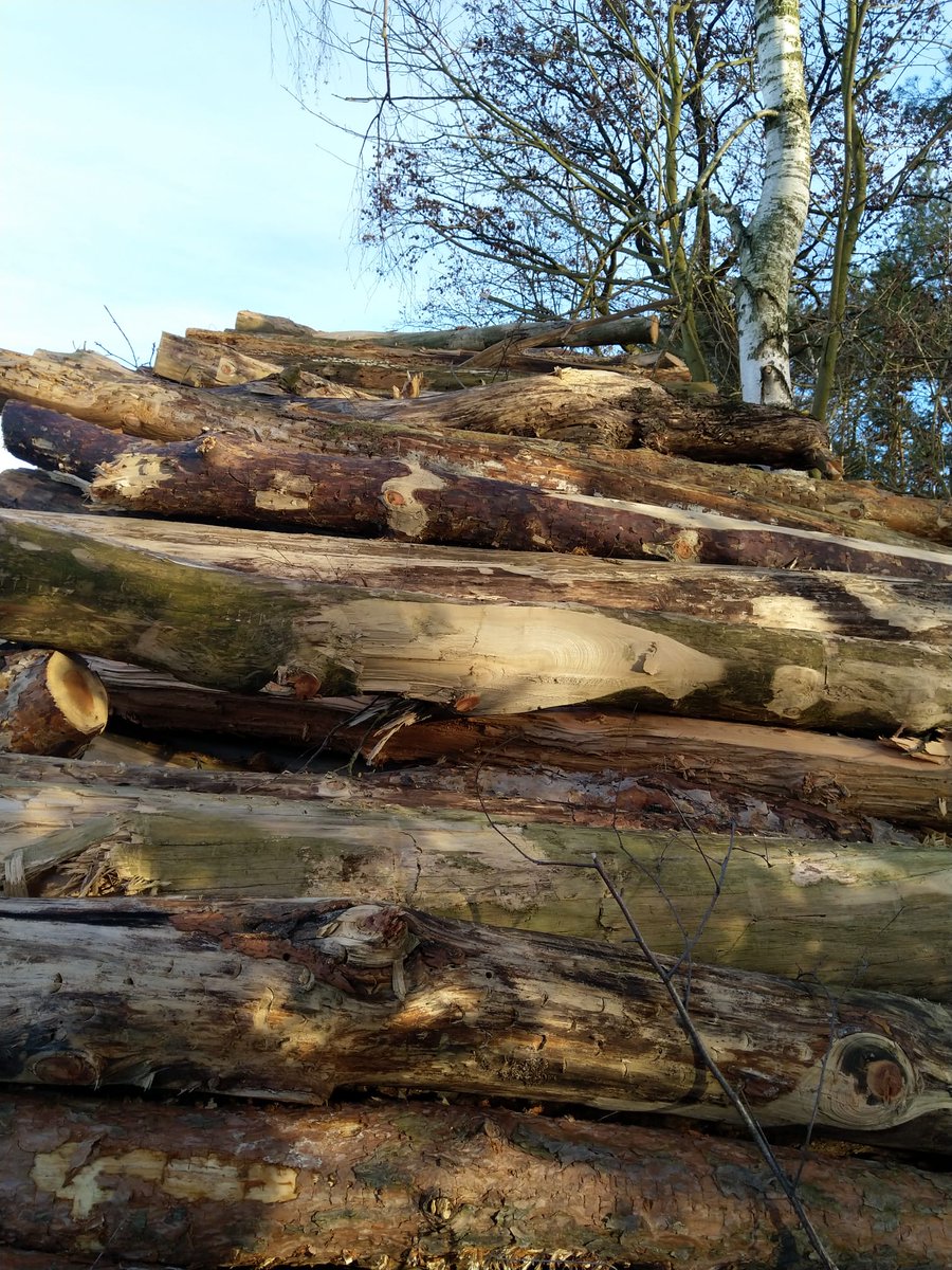 jetztsagichwas's tweet image. Stairway to heaven