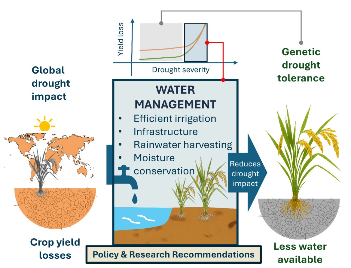 New Community tweet media