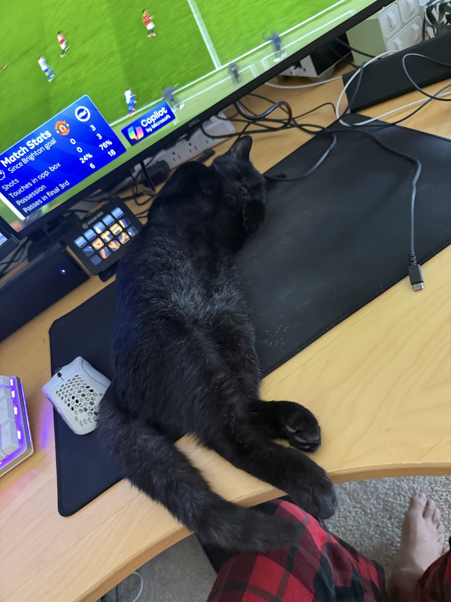 OfficialAd1's tweet photo. Say hello to Salem and Anakin. The newest members of our family. 

We don’t know if Anakin will turn into Vader one day. But we can only hope. https://t.co/bqdmTZgNMW