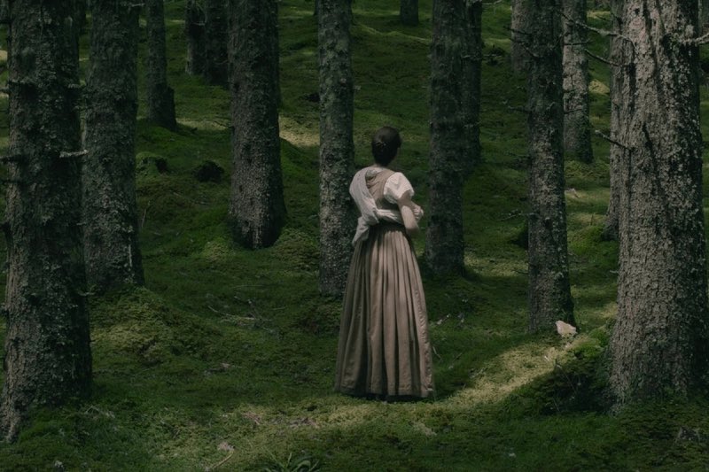 I didn't love HAGAZUSSA as much as I wanted to, but my god why a ...