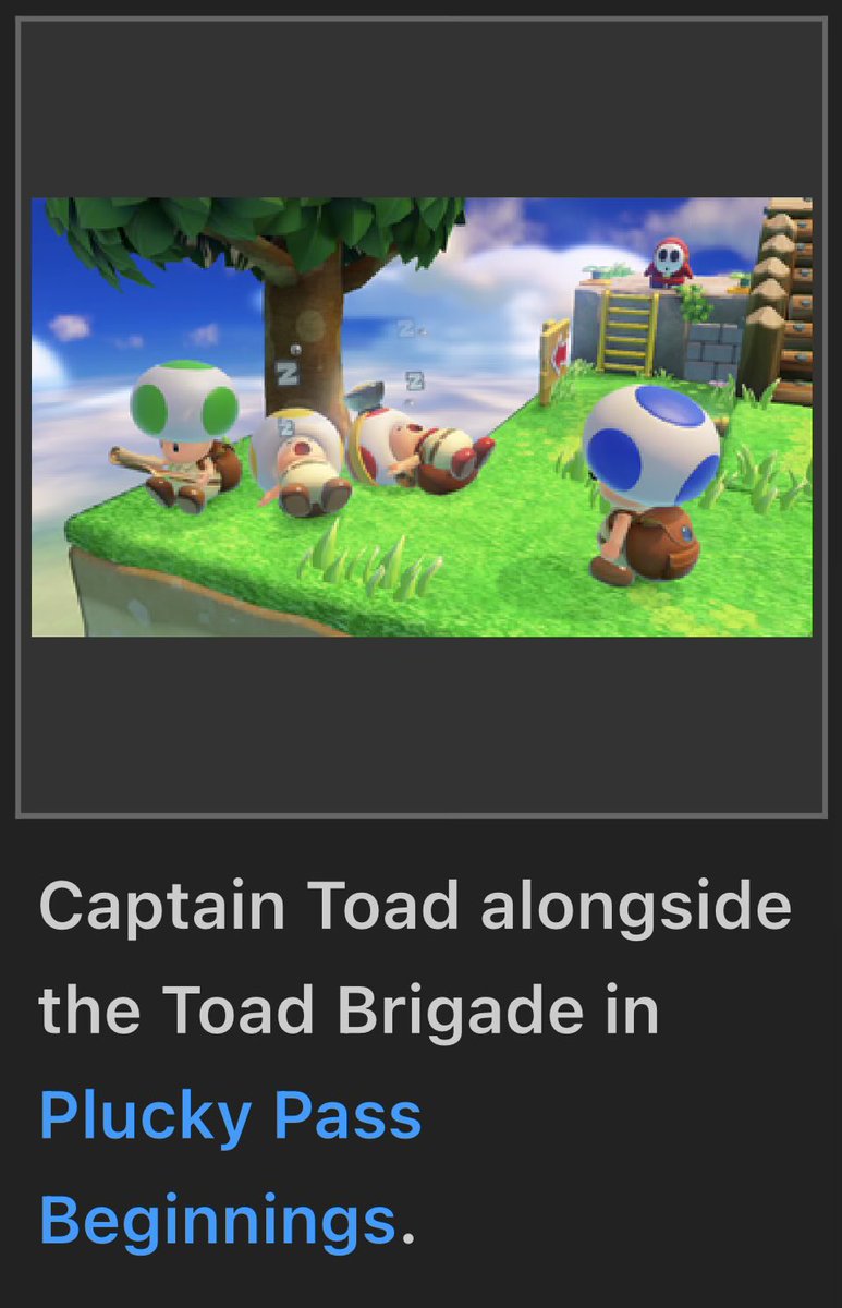 ToadlyToad's tweet image. What a productive group, we don’t deserve heroes like them 🥹